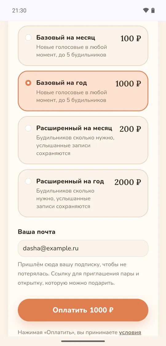 Срок, почта и «Оплатить»